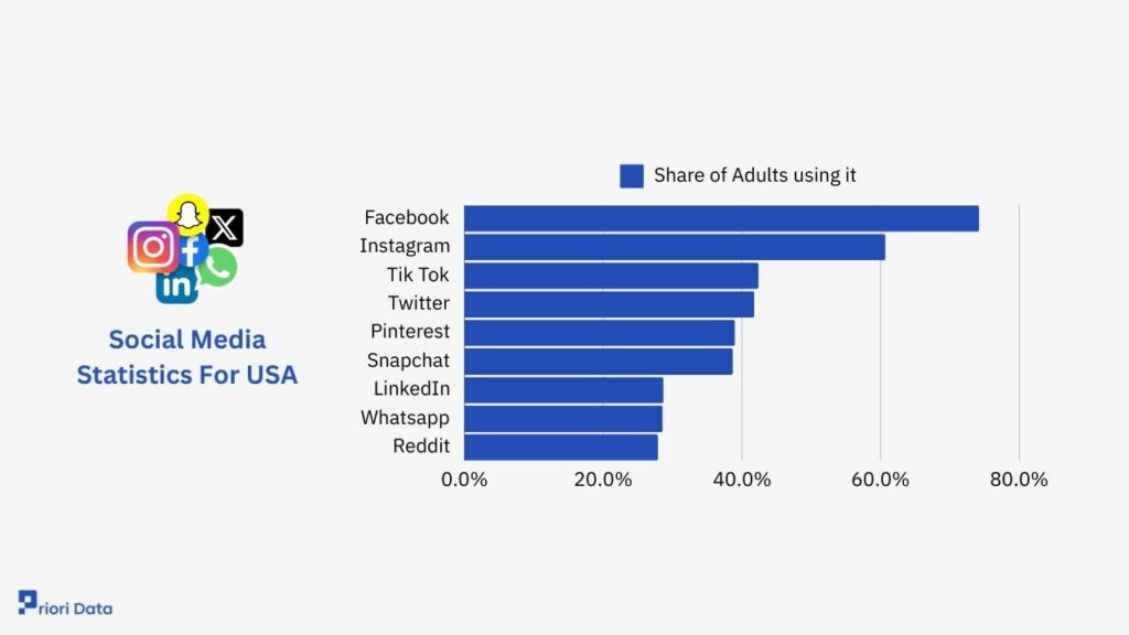 Social Media Statistics For USA
